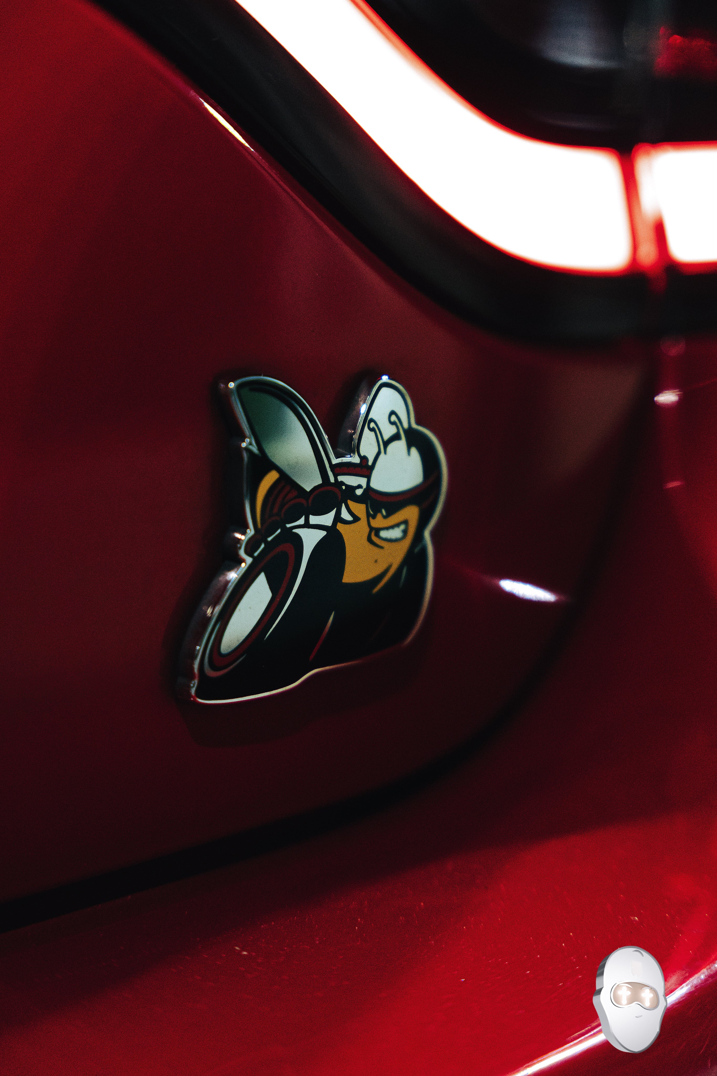 BEE RACER PHOTO WALLPAPER